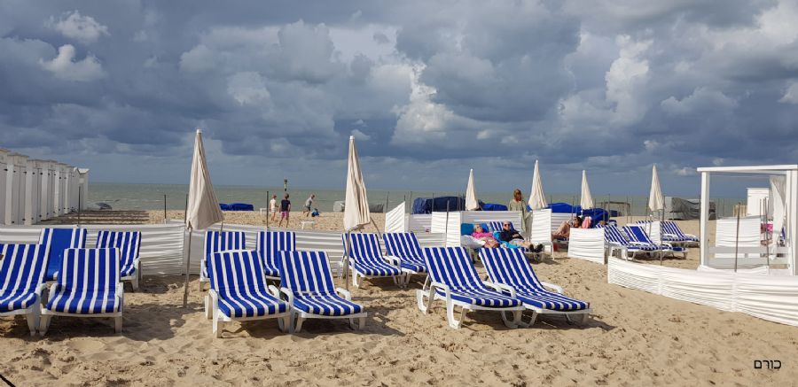 קנוקה הייסט